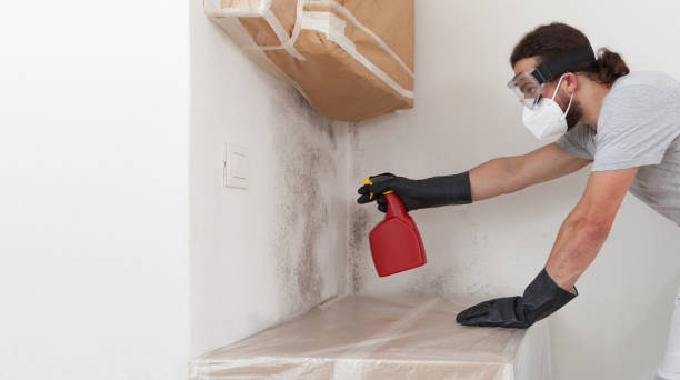 Professional Mold Removal technician working in Keyport, NJ