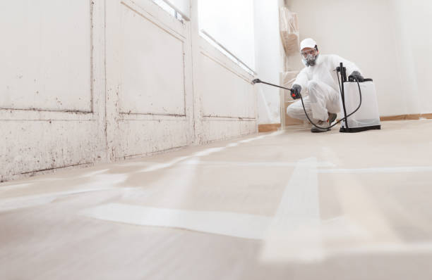 24/7 Emergency Mold Removal experts in Keyport, NJ